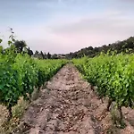 De Serra Country Onifai