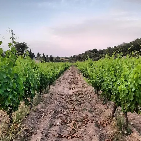 De Serra Country Onifai
