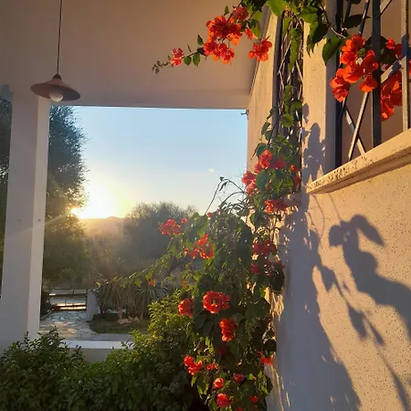 Κατάλυμα σε φάρμα De Serra Country