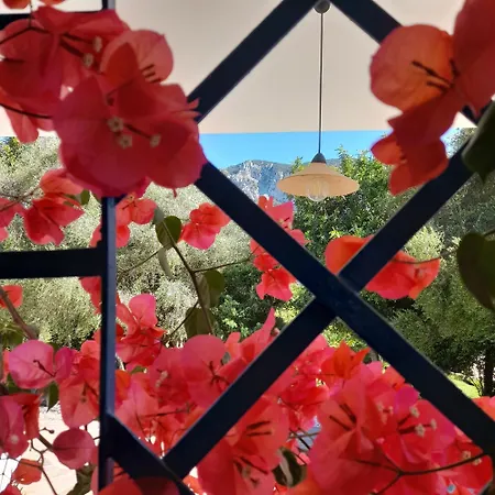 Κατάλυμα σε φάρμα De Serra Country