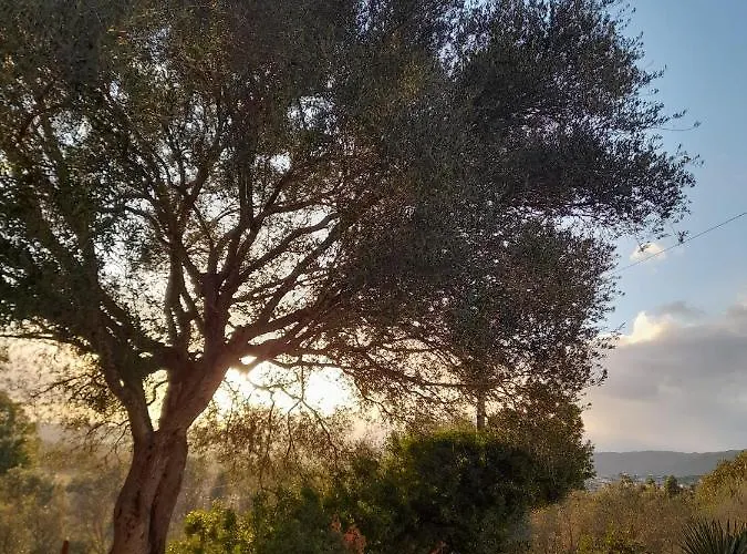 De Serra Country