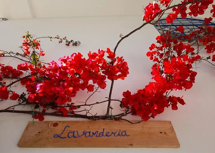 De Serra Country Bauernhof