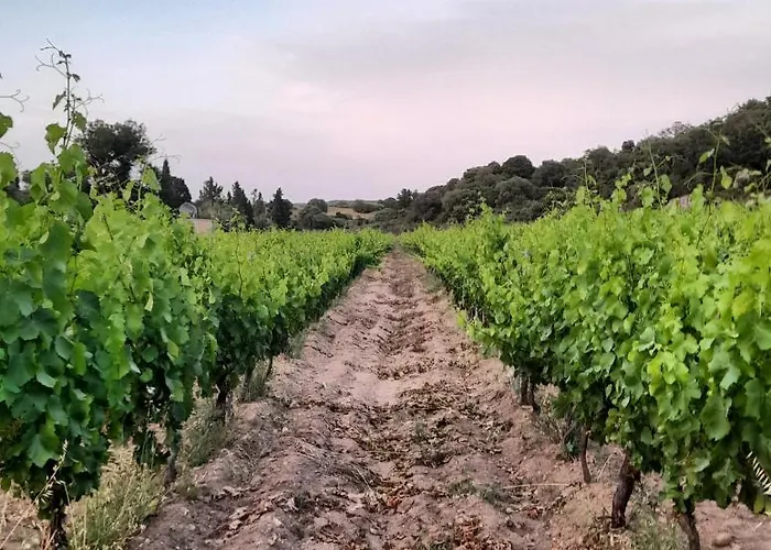 De Serra Country Onifai