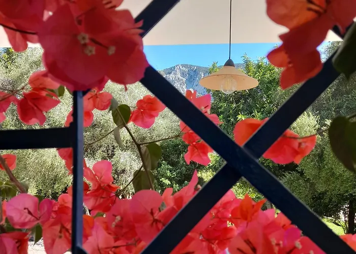 Bauernhof De Serra Country